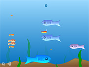 Play Flash Game: "Fishy" Free